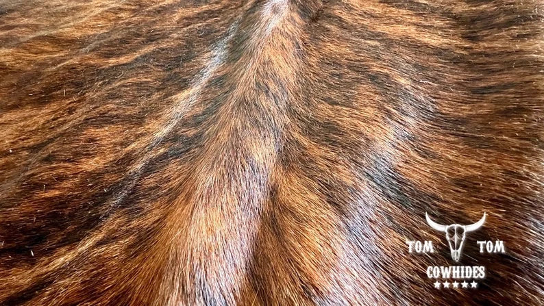 Premium Cowhide Rug | 6X6 ft | Dark Brindle | Natural & Unique | Modern Luxury Decor